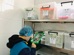 喜讯 我园食堂荣获西安市餐饮服务食品安全年度等级A级评定